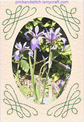 Corner Scroll Card With An Iris Picture.