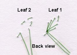 loop stitch leaf back