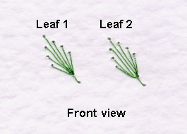 loop stitch leaf front